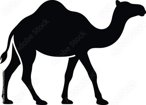 Black silhouette of a camel walking in profile view