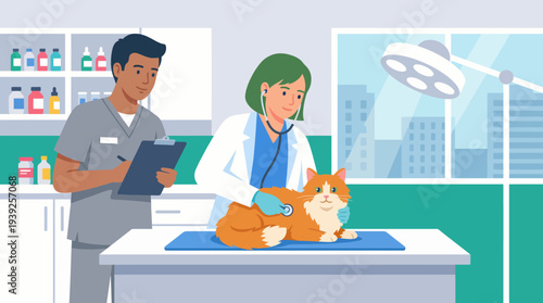 A veterinarian carefully examines a cat with a stethoscope, demonstrating the caring relationship between animals and their caregivers in a clinic setting full of medical supplies.