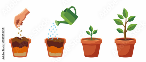 This image illustrates the growth stages of a plant in colorful pots, showcasing the nurturing process from seed to mature plant, symbolizing development and care.
