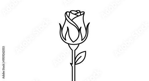 A minimalist black and white line drawing of a single rosebud on a stem with a leaf.