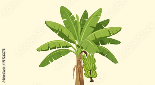 A vibrant illustration of a banana tree with a bunch of green unripe bananas hanging from it.