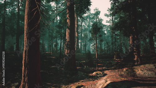 dense pine forest with winding path and deep green canopy textured trunks and low light create mysterious mood for adventure, thriller backgrounds and nature