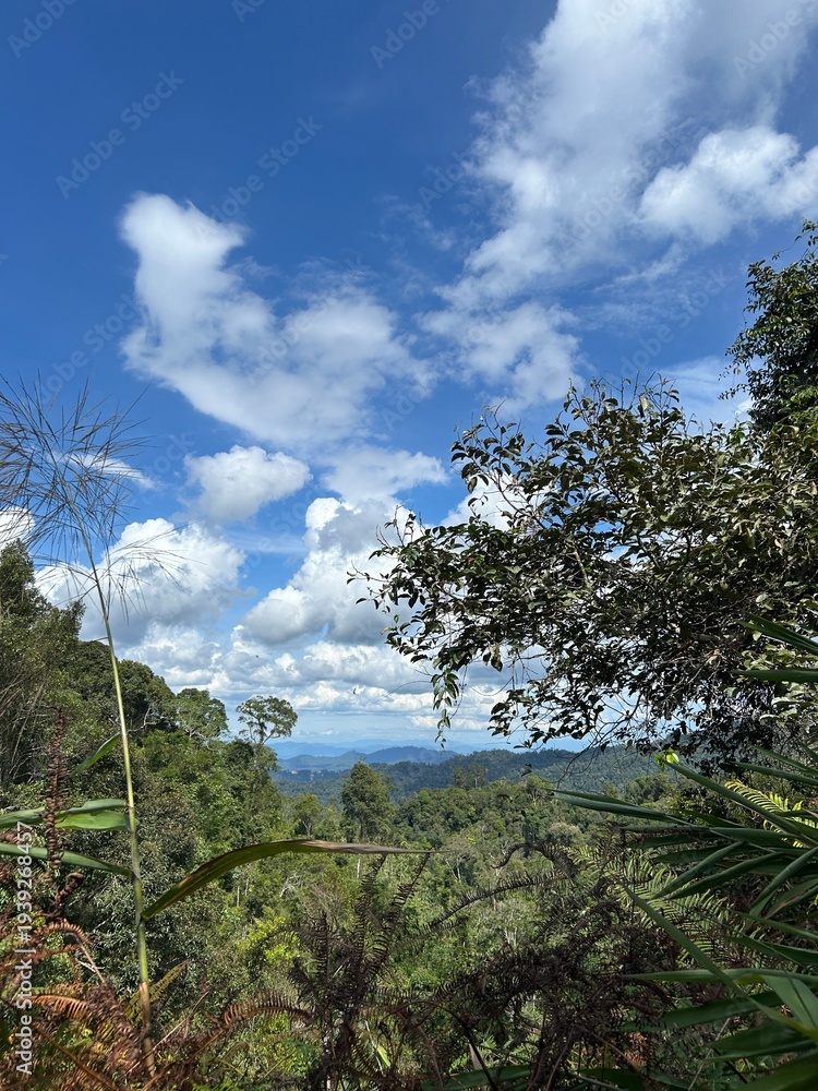 Obraz premium sky and clouds