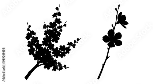 Set of 2 Black Cherry Blossom Flower and Branch Silhouettes Vector