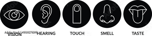 Vector illustration set of five human senses icons including vision hearing touch smell and taste linear white line art on black circles for educational medical design.