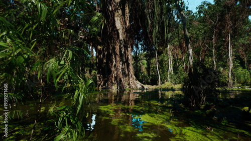 Foto Shaded rainforest pool with towering cypress and emerald algae, retreat scene im