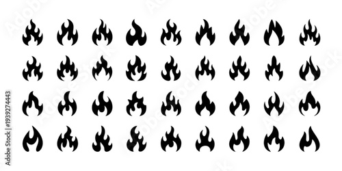 A collection of various types of birds, each depicted in a similar artistic style. Vector