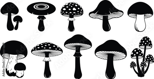 Set of black mushroom silhouettes and forest fungi icons with various cap shapes for nature decoration autumn seasonal design and botanical illustrations