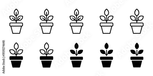 A collection of various potted plants with different types of foliage and flowers Vector