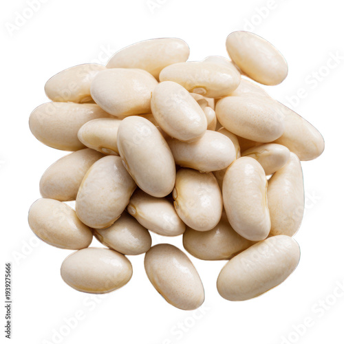 Pile of White Beans Organic Legumes Food Ingredient