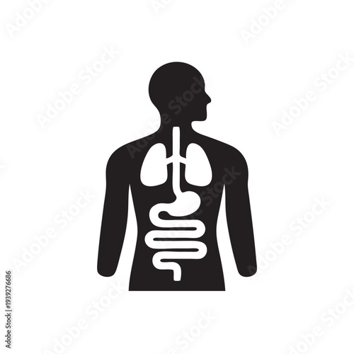 vector drawing of Human Internal Medicine 