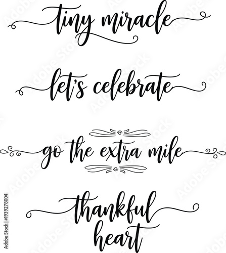 Elegant calligraphy phrases on a white background for inspirational quotes.