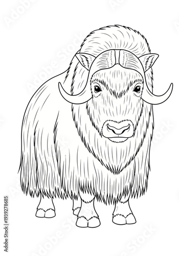 Muskox illustration with curved horns and shaggy fur standing on four legs against a plain white background in a detailed black and white vector graphic design
