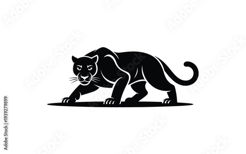Black panther walking silhouette animal wildlife