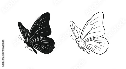 Two butterflies in contrasting styles one dark one light