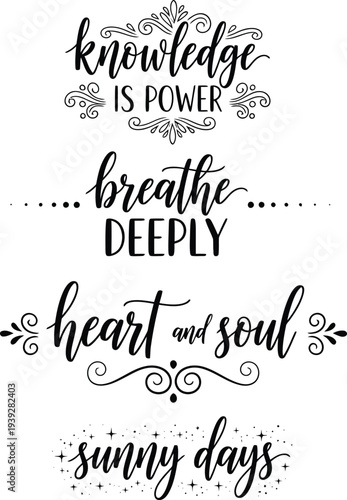 Inspirational quotes in elegant typography on a white background
