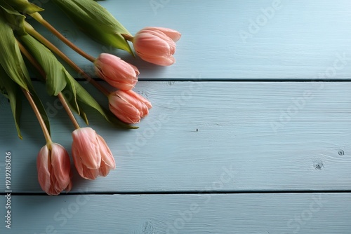 Tulip border with copy space, blue wooden planks