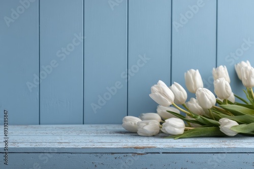 Tulip border with copy space, blue wooden planks