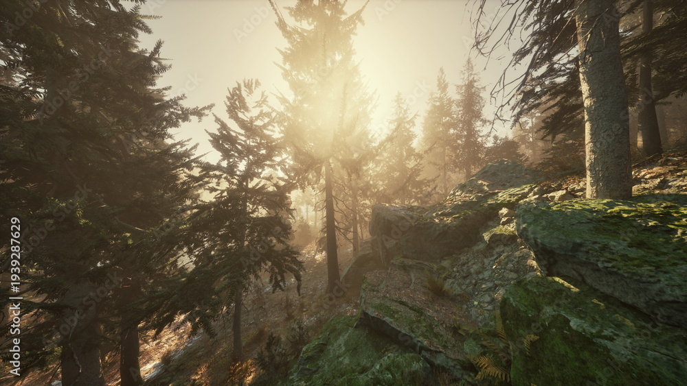 Obraz premium Golden sunlight penetrates the trees in a lush forest, casting soft shadows on the mossy rocks. The stillness of morning enhances the beauty of nature all around.