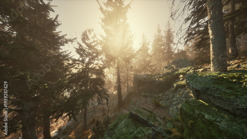Cuadro en lienzo Golden sunlight penetrates the trees in a lush forest, casting soft shadows on the mossy rocks