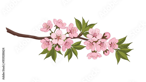 Elegant branch of cherry blossom flowers with delicate pink petals and fresh green leaves, signifying the arrival of spring and renewal.