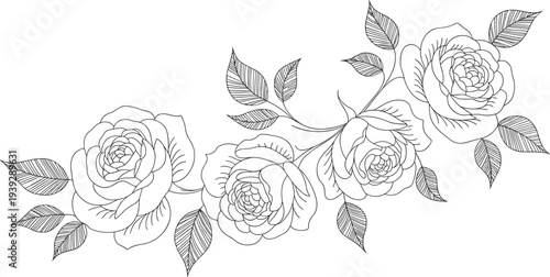 Hand drawn floral wreath and botanical rose flower vector collection for wedding invitations coloring pages decorative frames and romantic garden designs,
