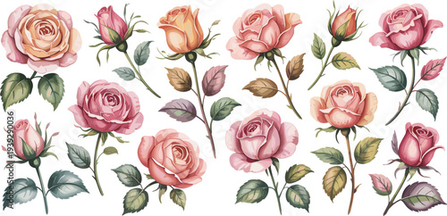 Hand drawn rose flower wreath bouquet and colorful botanical element vector collection for wedding invitations coloring pages and decorative designs,