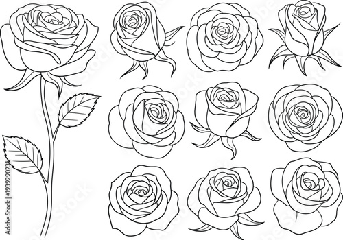 Hand drawn rose flower wreath floral bouquet and botanical icon vector set for wedding invitations coloring pages and decorative designs,