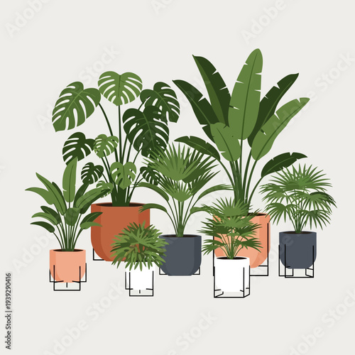 Assortment of lush green houseplants in modern pots, home decor, indoor jungle