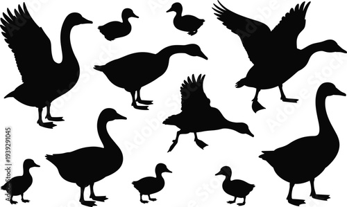 Collection of black silhouettes of geese and ducklings in various poses on a white background goose