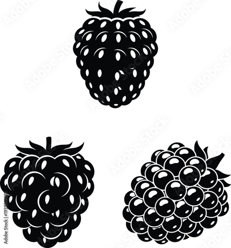 blackberries with leaves on white background