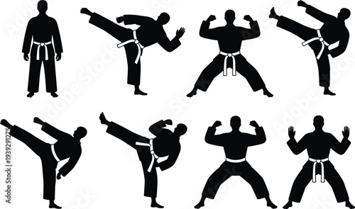 Collection of Martial Arts Silhouettes Demonstrating Kicks and Stances on White Background karate taekwondo