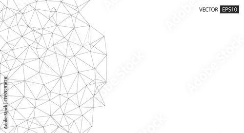 Geometric polygonal network face outline.