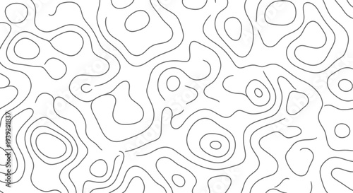 Black topographic map contour lines.
