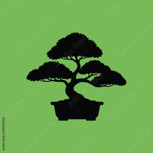 Silhouette Bonsai Tree in Pot on Green Background