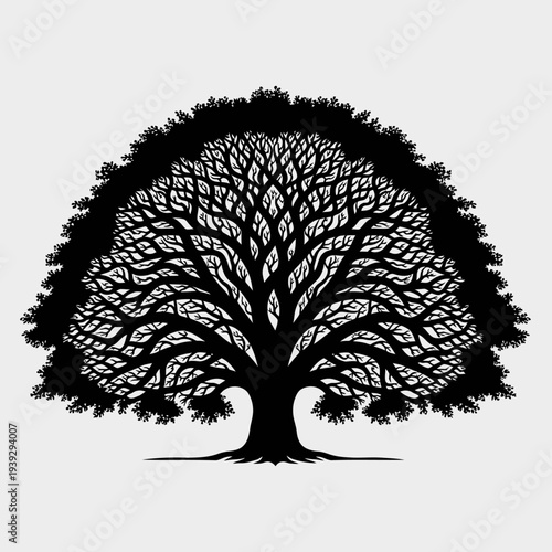 Majestic Black Silhouette of a Sprawling Oak Tree with Intricate Branches