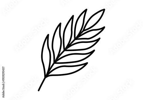 Icono lineal de una rama de palma con hojas alargadas