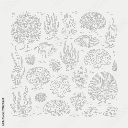 Collection of Diverse Coral Reef Flora and Fauna Line Art Illustrations