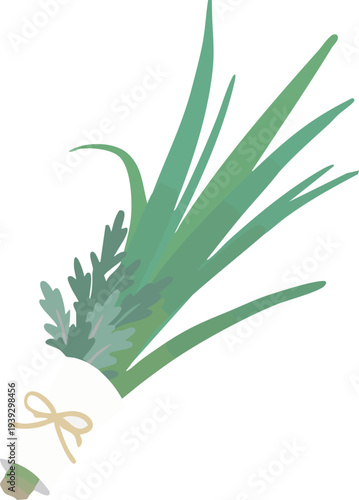 端午の節句の軒菖蒲（菖蒲と蓬）フラットなベクターイラスト 日本の伝統行事素材　Shobu and Mugwort Bundle for Tango no Sekku, Flat Vector Illustration