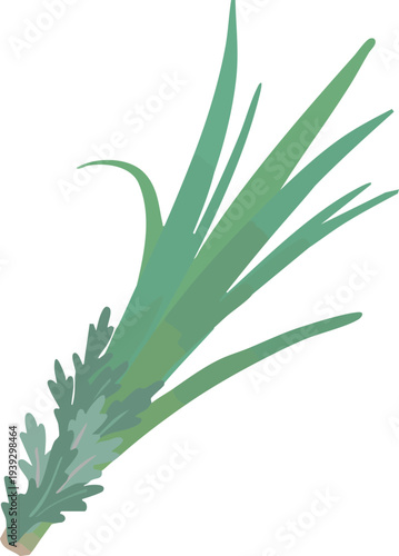 端午の節句の軒菖蒲（菖蒲と蓬）フラットなベクターイラスト 日本の伝統行事素材　Shobu and Mugwort Bundle for Tango no Sekku, Flat Vector Illustration