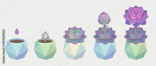 An illustration showcasing the growth stages of succulent plants, visually representing the journey from small to fully bloomed, capturing the essence of patience and nurturing in gardening.