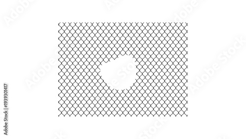 hole in the fence, black isolated silhouette