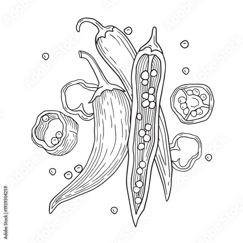 Hand-drawn sliced chili pepper and chili seeds composition in graphic sketch style for ingredients or product design