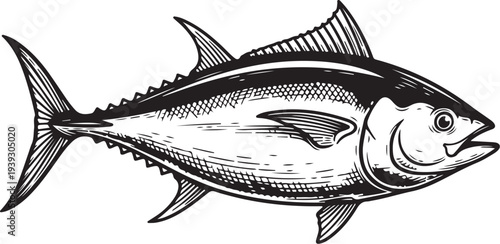 tuna hand drawn simple sketch vector illustration