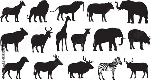 Set of 16 safari animal silhouettes vector