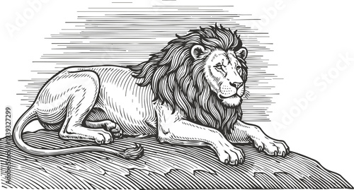 Majestic lion lying down on rock with detailed mane and calm expression in black and white sketch