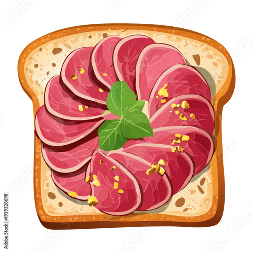 Toasted bread with sliced ham and fresh green herb garnish for snack - Vector Illustration