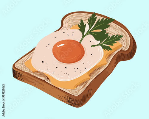 Toasted bread topped with fried egg and herb garnish for classic simple breakfast and nutritious snack option - Vector Illustration
