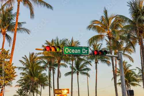 Close up view of Ocean Drive street sign and traffic lights framed by tall palm trees in Miami Beach.