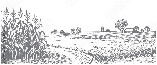 Vintage illustration of a farm landscape with cornfields and rolling hills.